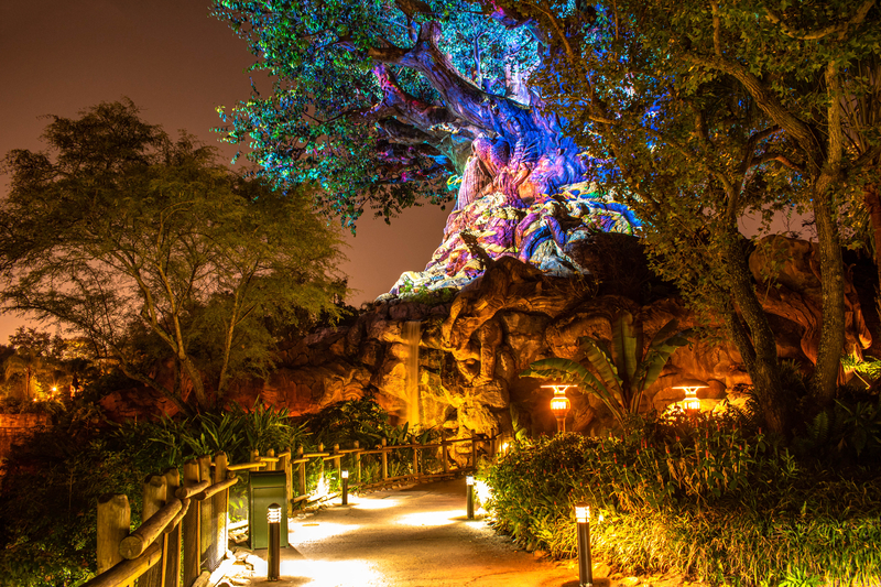 animal-kingdom-disney-after-hours