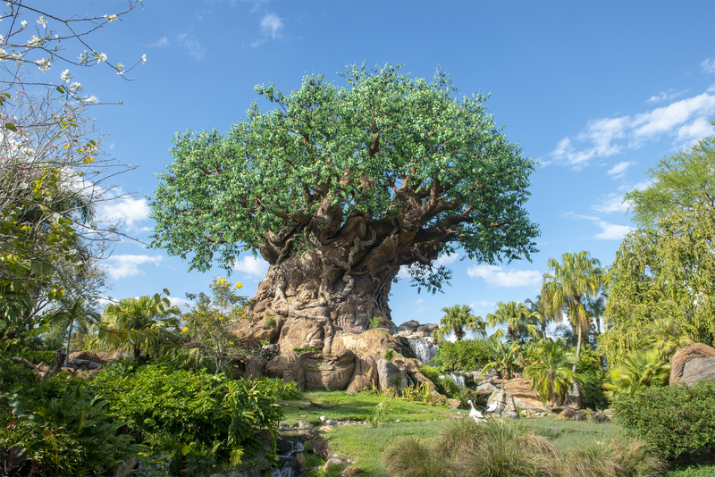 https://theparkprodigy.com/wp-content/uploads/2020/05/Animal-kingdom-2.jpg