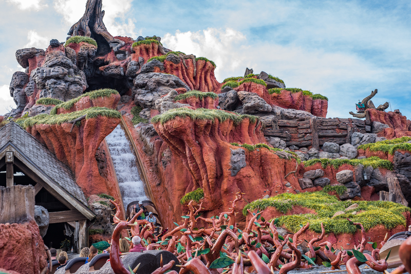 magic-kingdom-early-park-entry