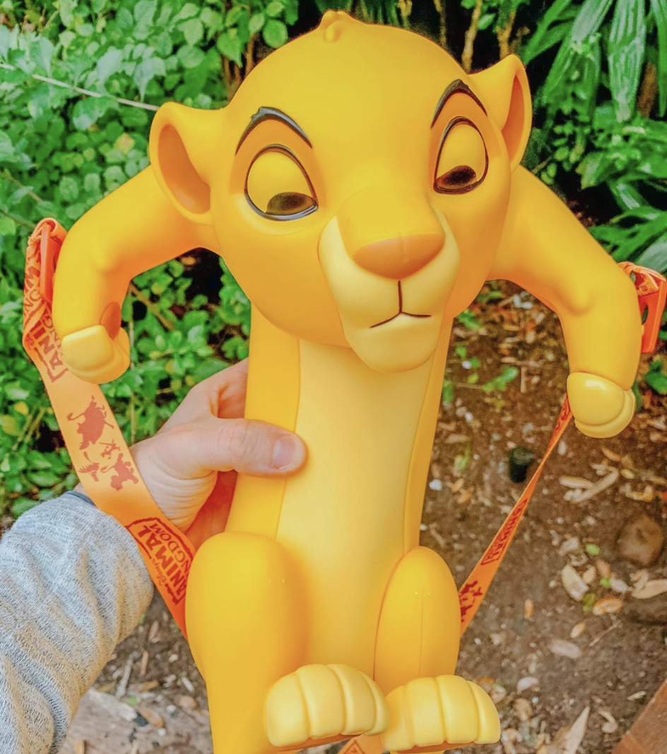 Refillable Popcorn Buckets at the Walt Disney World Resort