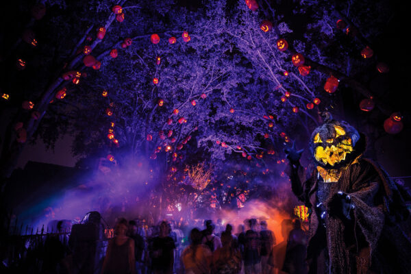 Guide to Universal Halloween Horror Nights in 2026