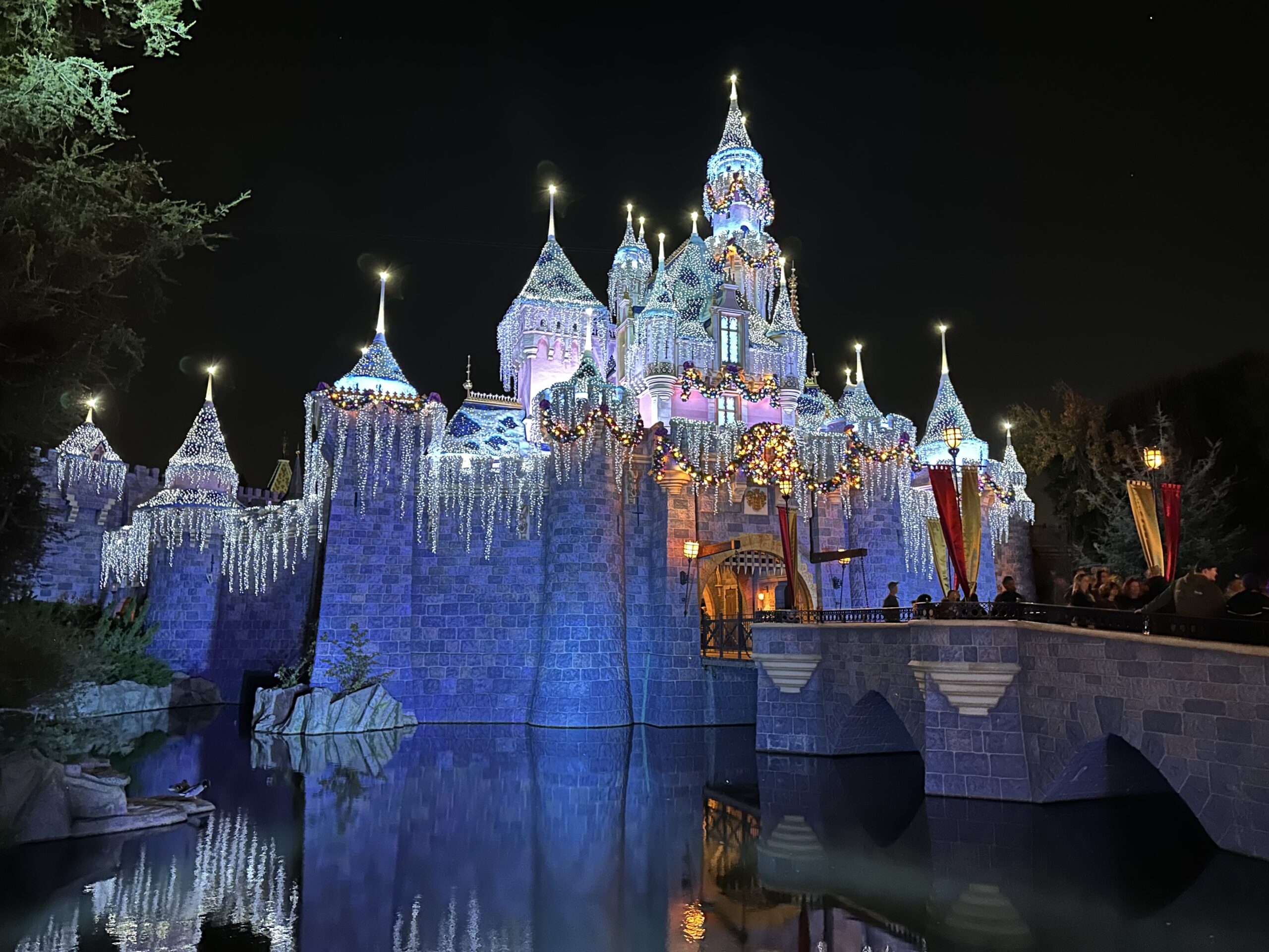 disneyland-christmas-castle-with-lights-at-night