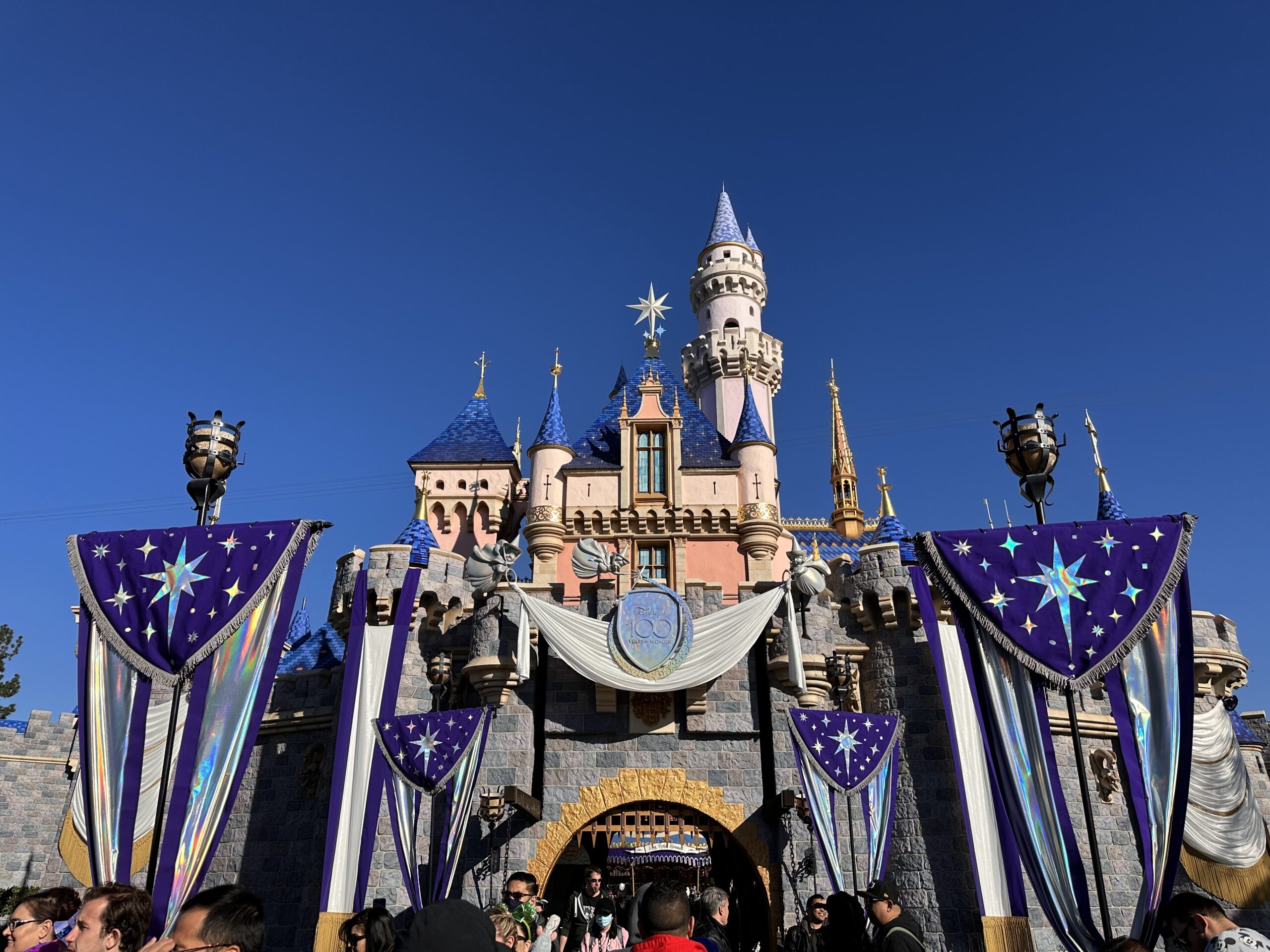 Disneyland Castle 100 Scaled 