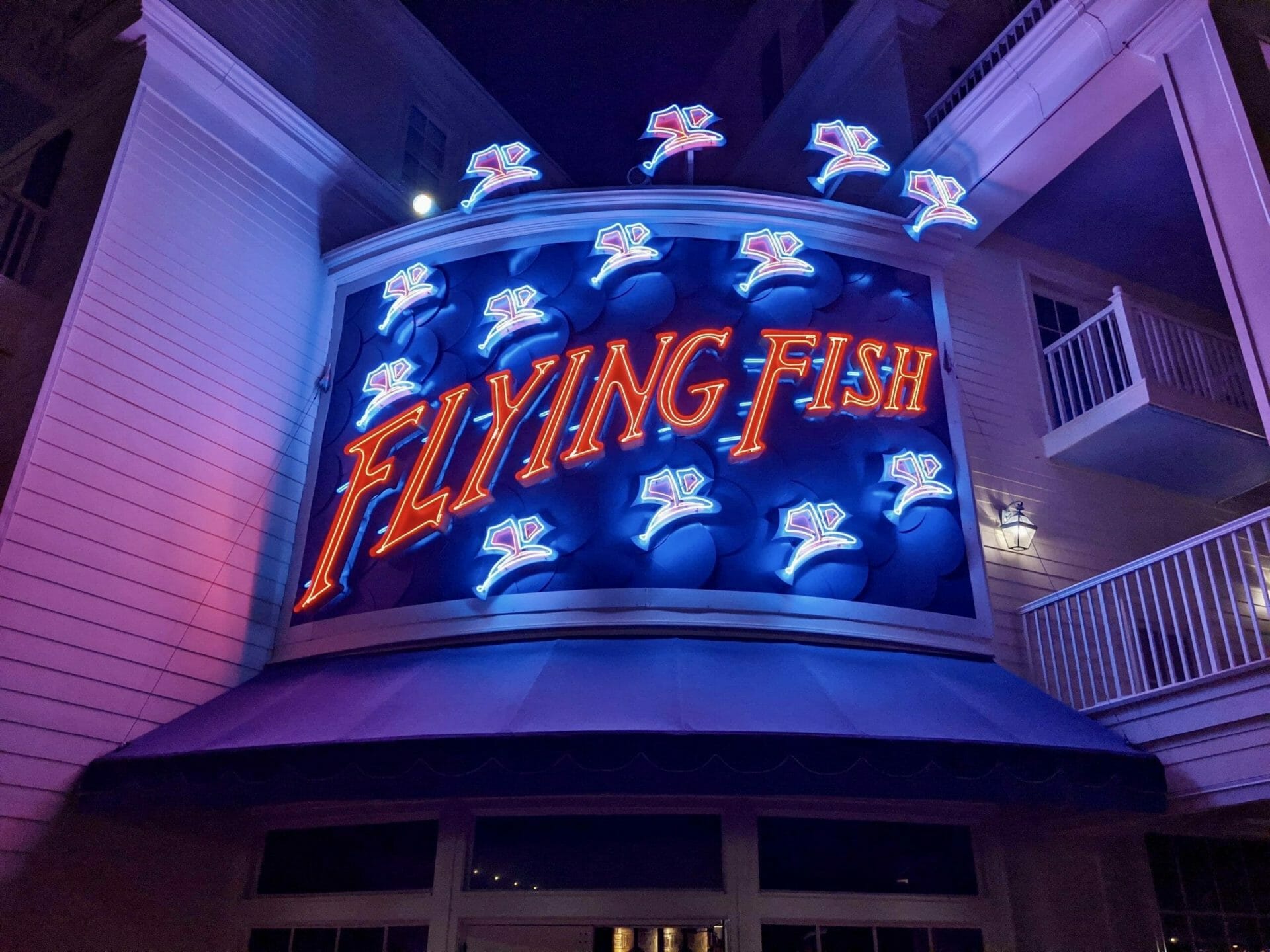 flying-fish-night-time-sign