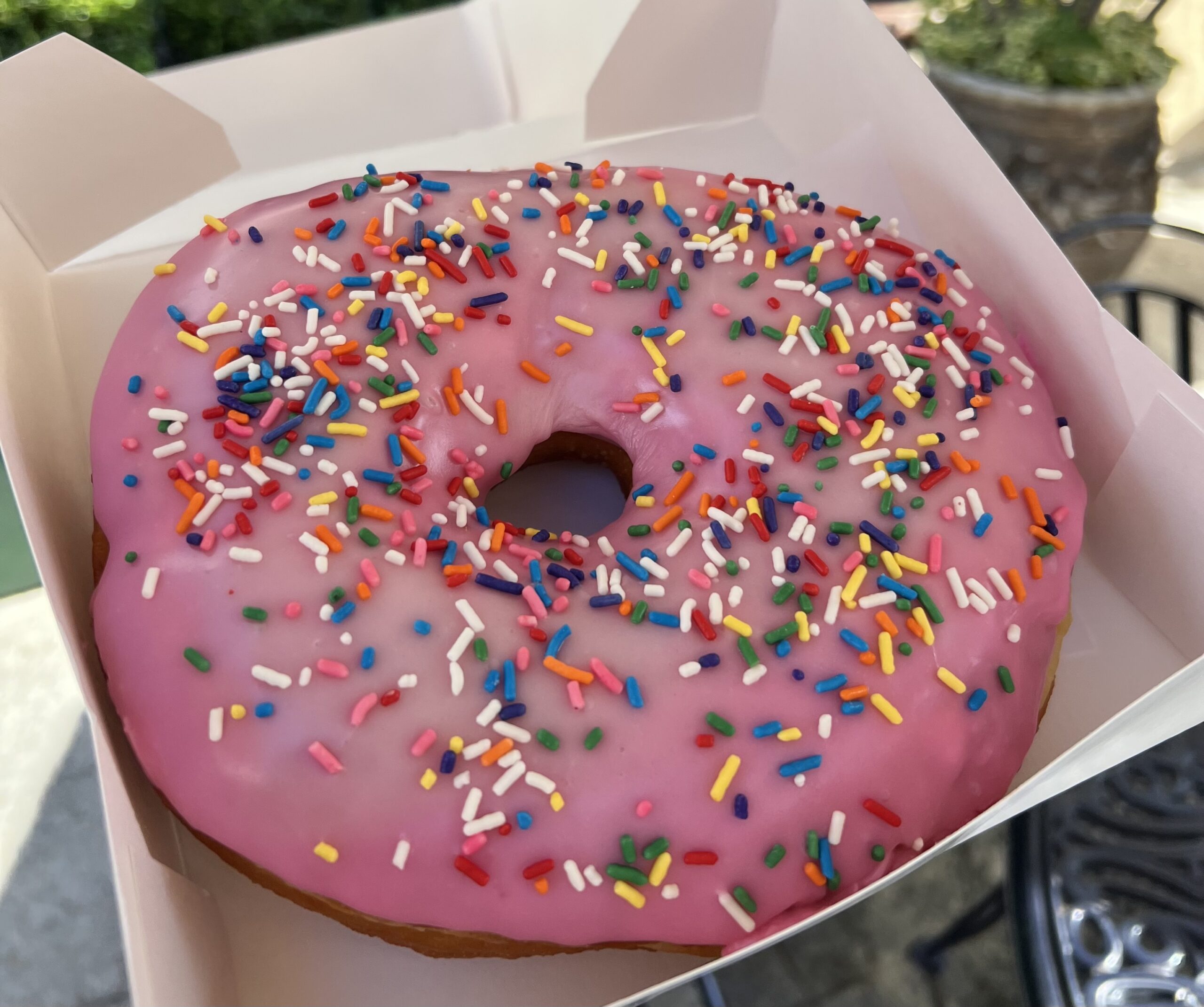 pink donut simpsons